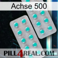 Axcil 500 29